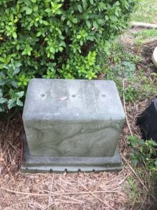 Florida Bee Removal-- Stories From The Hive: Honeybee Relocation From Utility Structures